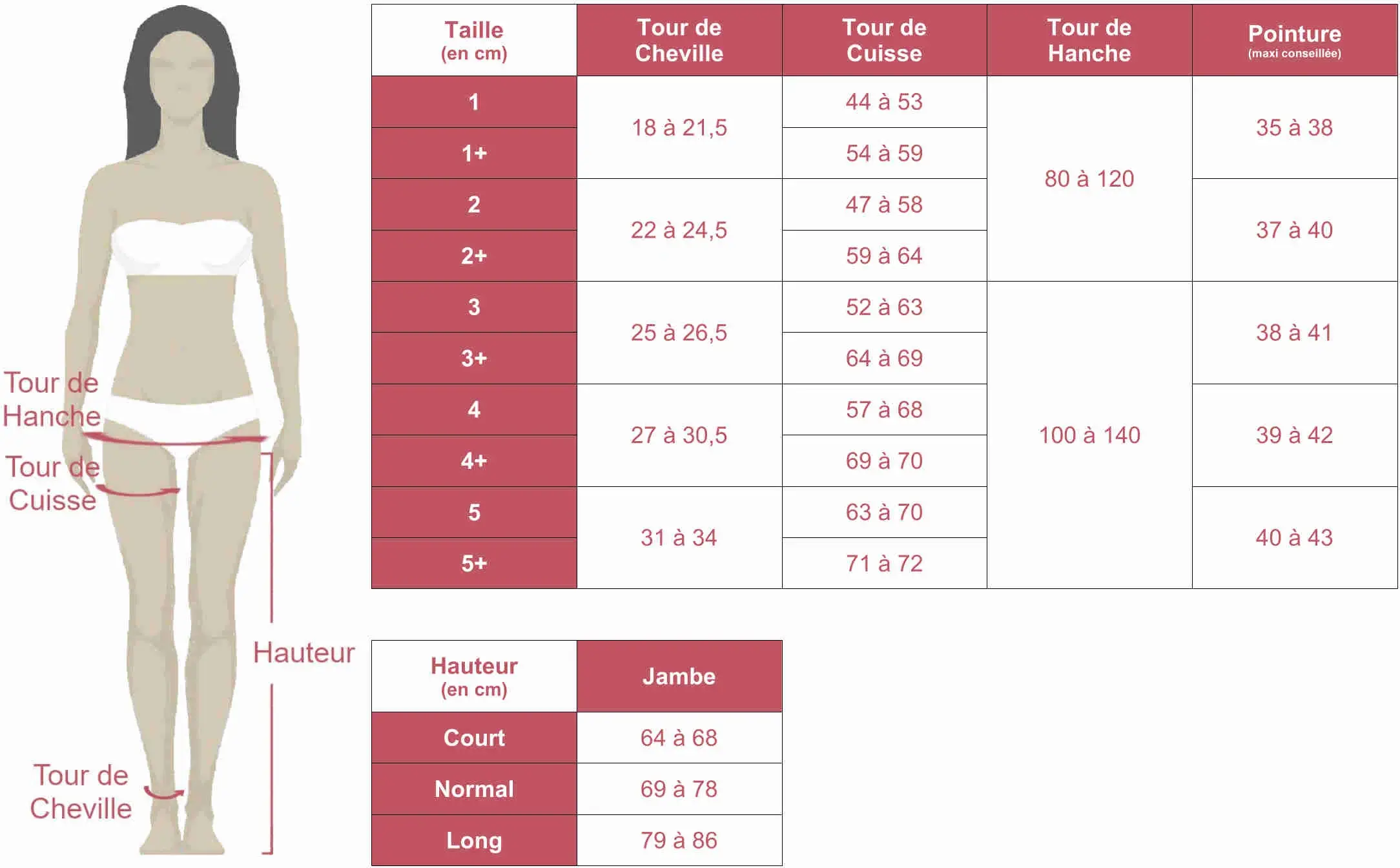 Grille des tailles de collants Qoton Radiante en classe 2